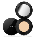 HD Coverage Concealer: Parchment