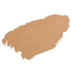 Totally Transforming Concealer: Warm Light